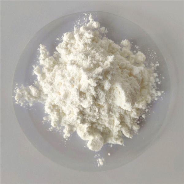 Hot Sale energy supplement birch extract with best price