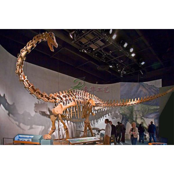 Привлекательная полная модель ископаемого динозавра, реплики ископаемого динозав