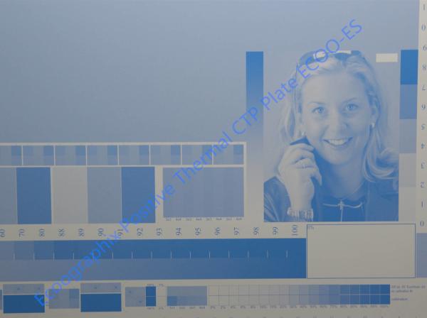 0.40mm Positive CTP Thermal Plate For Large Format Advertising Press