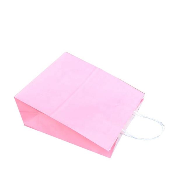 Sacos de papel do tamanho padrão com estilo simples material Degradable dos punhos