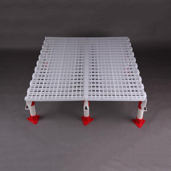 Пол полипропилена НАДЕЖДЫ HI пластиковый Slatted на птица 60x70cm 70x70cm