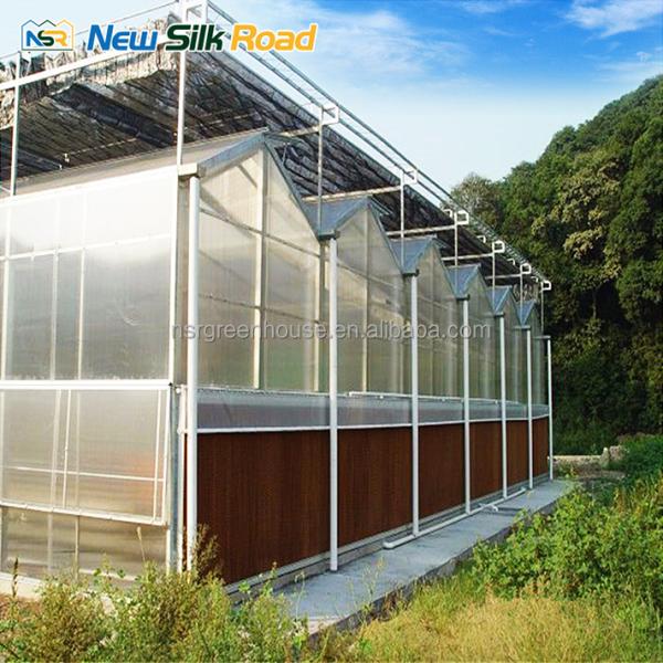 vegetable garden greenhouse frame agricultural greenhouses tunneling polycarbonate greenhouses supplier for plants