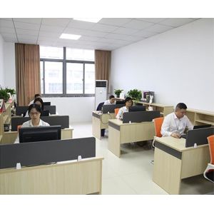 Jiangsu Senwei Electronics Co., Ltd.