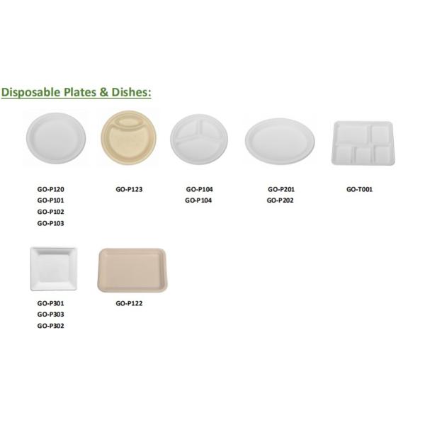 9 Inch 2 Compartment Biodegradable Sugarcane Bagasse Plates