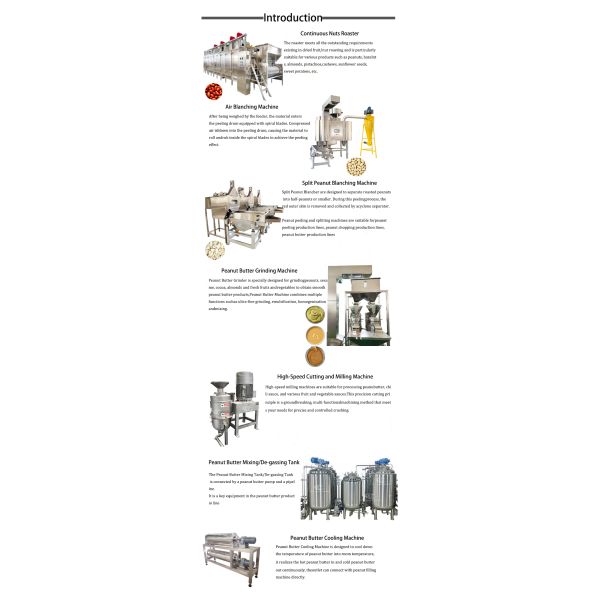 SUS304 Continuous Nuts Roaster Cashew Nut Japanese Peanut Roasting Machine with PLC Control for Commercial Use