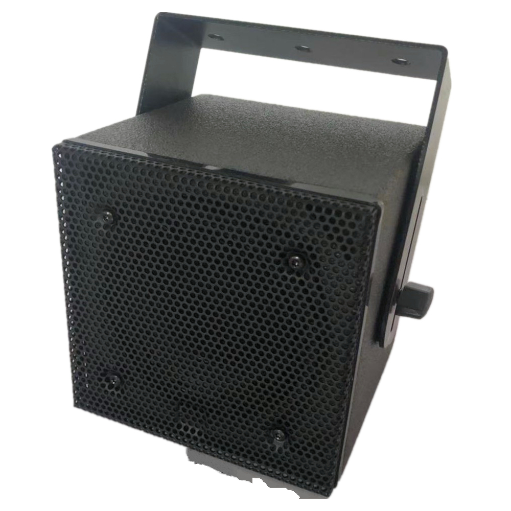 Professional Speaker