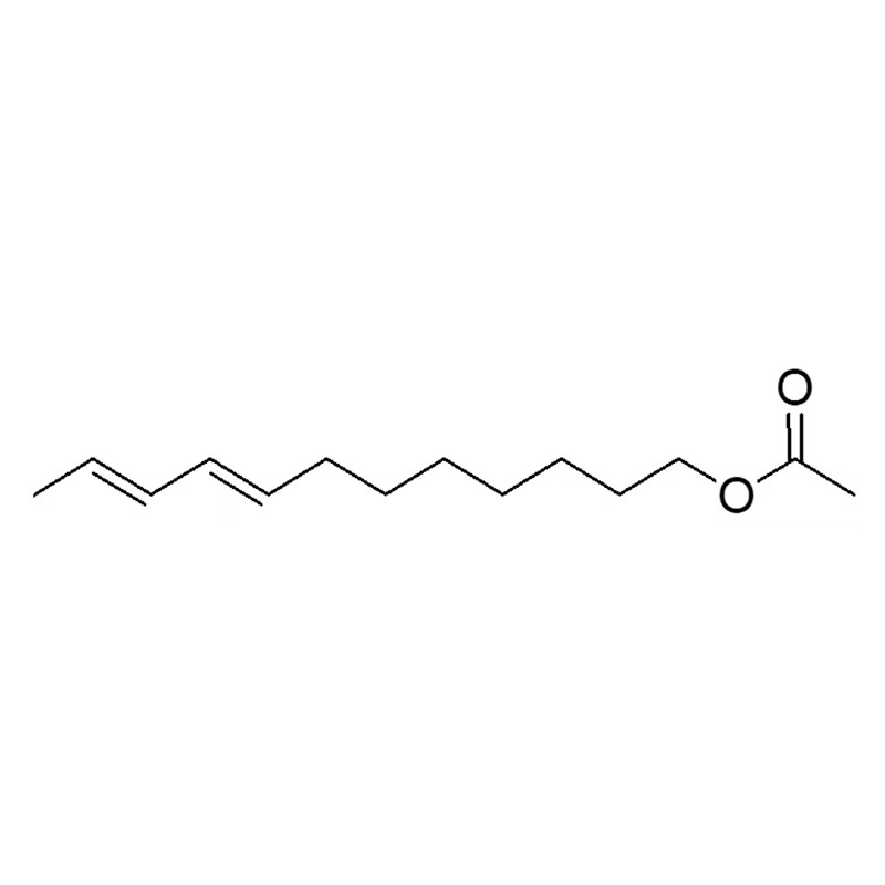 E8E10-12Ac