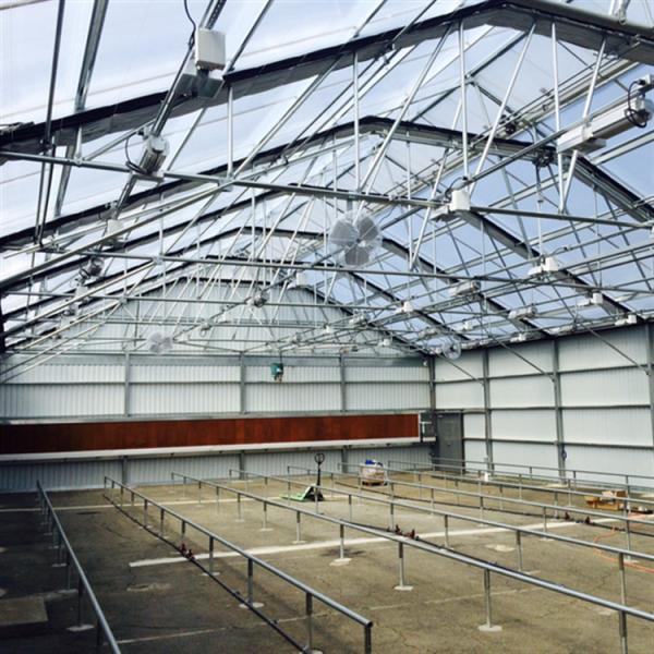 Led Grow Lighting Single Tunnel Greenhouse Agricultural Auto Light Dep Blackout Greenhouse For Mushroom Growing