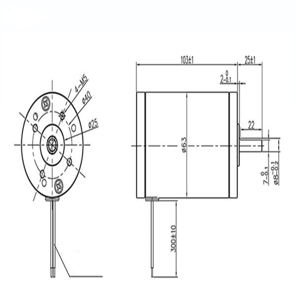 24VDC Brushed Motor 0.18n. M 2800rpm Electric Motor Permanent Magnet Motor Efficiency IE 1