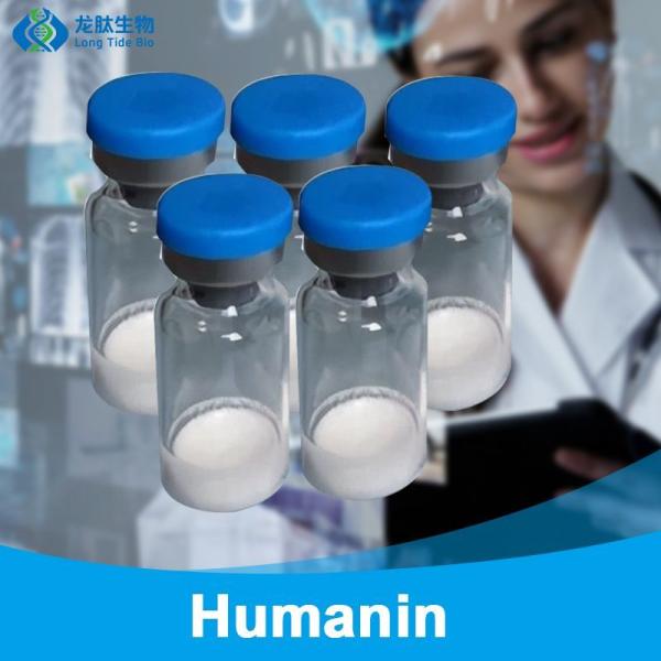                    Wholesale Peptides Lyophilized Powder Humanin CAS 330936-69-1 with High Purity             