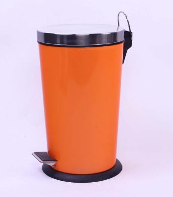 household dust bin
