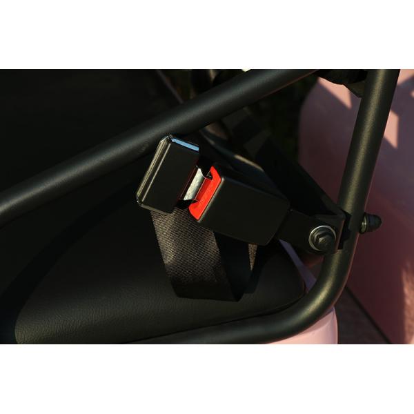 Four Wheel Electric Golf Scooter 4 Passenger With Lithium Battery