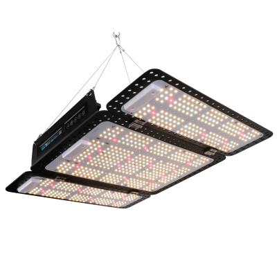 480W Commercial Led Grow Lights Dimmable Led Grow Light Board Les lampes à LED sont équipées d'une lampe de poche.