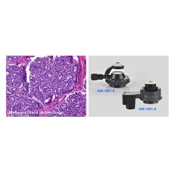 Research Scientific Full Auto Motorized Opto-Edu Binocular Biological Microscope A12.1095