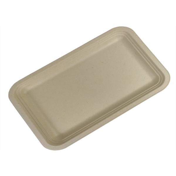Rectangle Biodegradable Food Trays