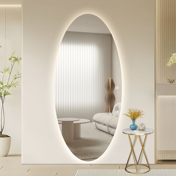 Anti Fog Oval LED Backlit Mirror , Full Length Dressing Mirror Wall Mounted