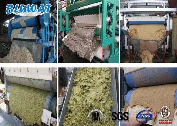 Polyacrylamide Cationic de secagem do floculante CPAM C9060 da lama do parafuso