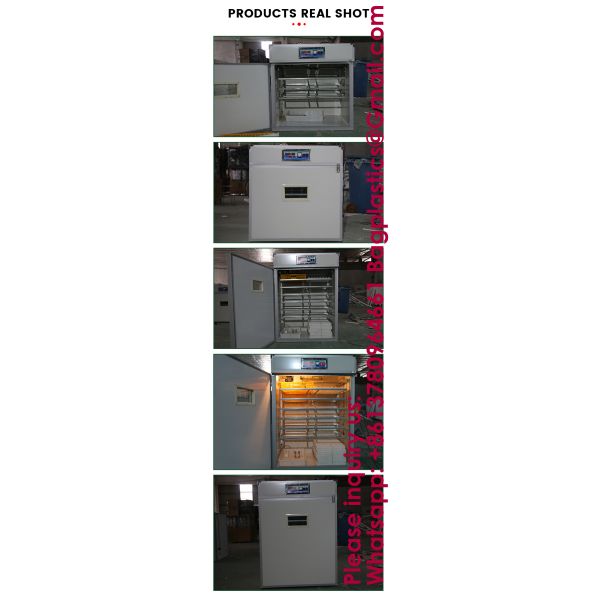 5000 Eggs Incubator Automatic Egg Fully Automatic Best Selling Poultry Egg Incubator Great Capacity Make Chicken Egg Incubator Hot Fully Intelligent Automatic Egg Hatching Machine Bird Chicken Goose