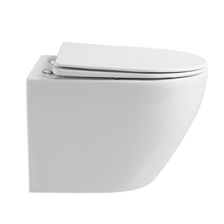 バスルームのデザイン トイレ セラミック 壁掛け式トイレシート モダン ウォッシュダウン 壁掛け式衛生トイレ ビデ