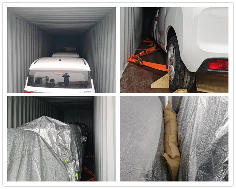 Raysince New model electric vehicle 4 Seats 5 door China high speed electric car