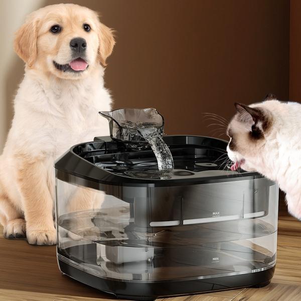 Distributeur d'eau automatique électrique pour chats et chiens, abreuvoir pour animaux de compagnie à débit personnalisé