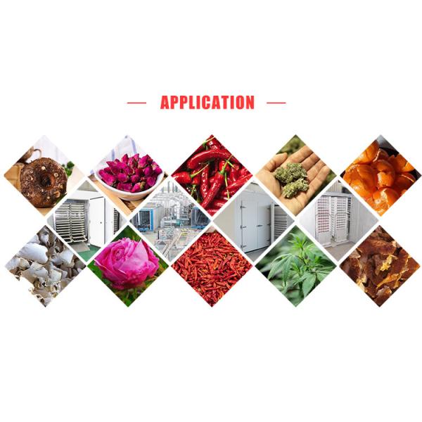 Температура обезвоживателя SS304 1Ton еды теплового насоса плода ананаса регулируемая