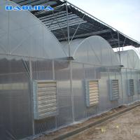 Estufa do período da colheita multi com proteção dos encaixes de tubulações de aço galvanizados sistema