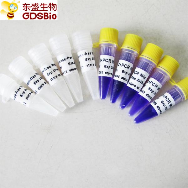 Taq Mix PCR Master Kit #P2012 5ml