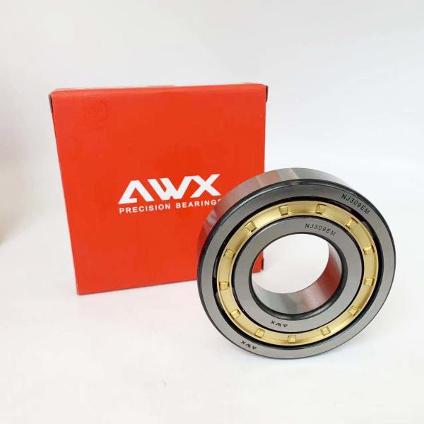 AWX Free Samples Cylindrical Roller Bearings Double Row Type NJ230EM NJ232EM NJ234EM NJ236EM