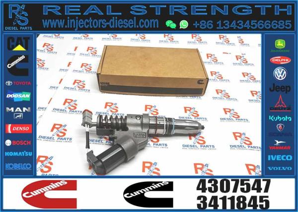 4307547 4061851 Ism11 Qsm11 Engine Fuel Injector For Excavator Diesel Engine Parts For Sale