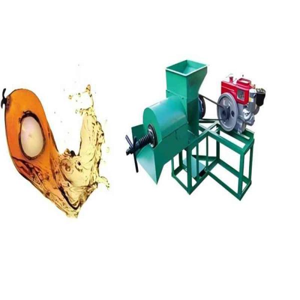 Oil Pressers Palm Fruit Oil Press Machine Small Capacity Palm Fruit Line  Palm oil production line