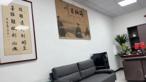 Pingxiang County Songma Children's Toys Co., Ltd.