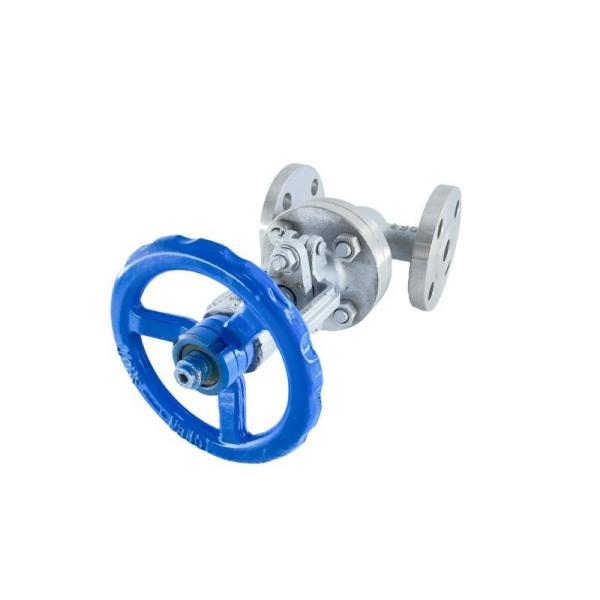 DN15-DN300 Z41W CF8 Stainless Steel Flanged Gate Valve with DN15-DN300 Size Options