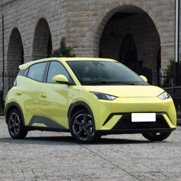 Forerunner Drive Mode Byd Mini EV 2024 Seagull Leap Edition 405km Range Electric Car