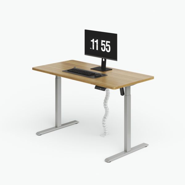 Escritorio Eléctrico de Pie para Oficina en Casa con Almacenamiento de Cables Personalizable
