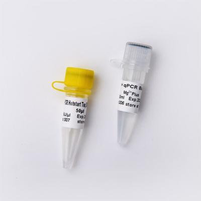 Fast Restriction Endonuclease HindIII