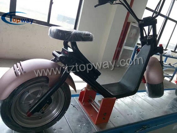 two wheels Citycoco 1000W 60V adult electric scooter battery box removable