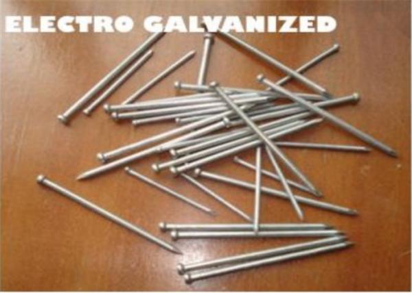 Anti - Corrosion Metal Wire Nails Q195 Steel Common Iron Nail Used For Furniture