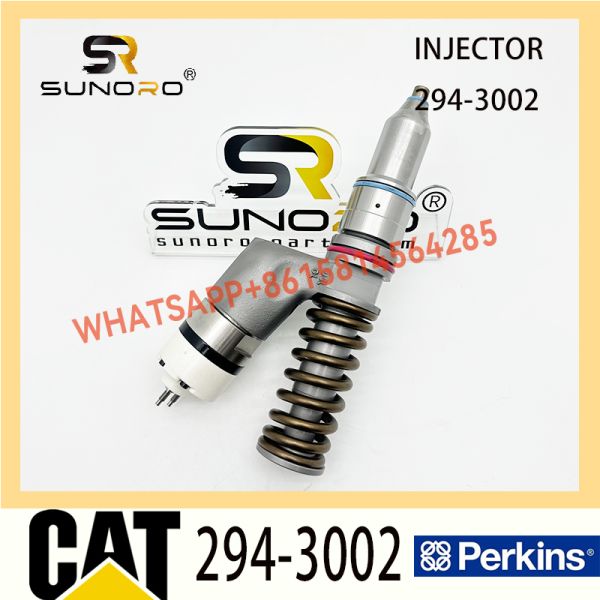 Diesel Fuel Common Rail Injector 294-3002 10R-6162 For C13 Common Rail 10R6162