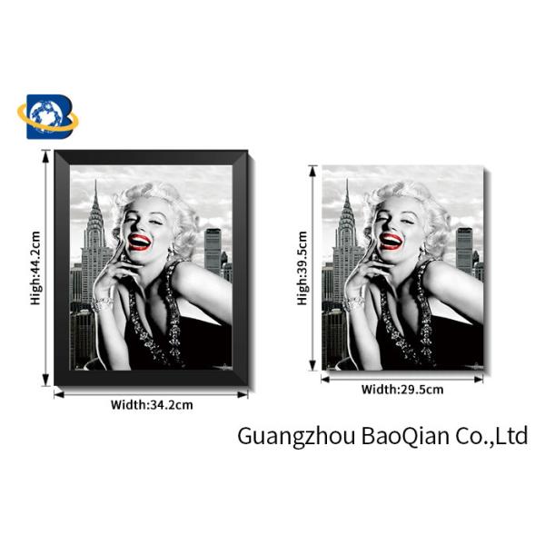 3d Stereograph Printing / Pictures , Lenticular Famous Figure 3d Picture Of Beautiful Girl