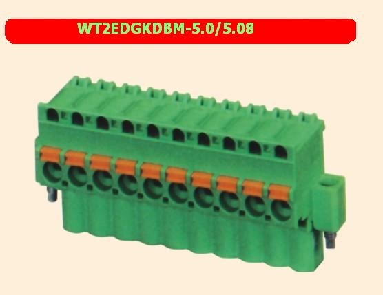 カスタムPCBワイヤターミナルブロック 26-14 Awg WT2EDGKDA-5.0/5.08