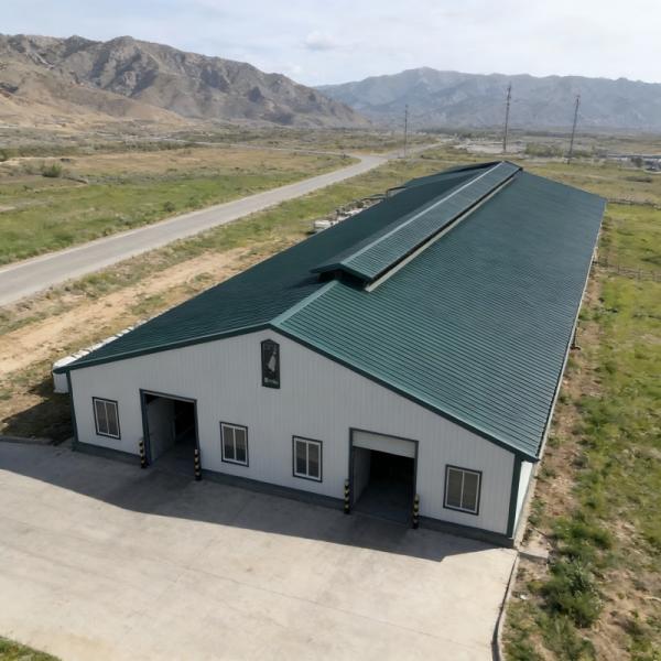 Hot-Dip Galvanized Customizable Multi-Bay Steel Structure Cow Barn for Commercial Ranch Beef Cattle Fattening