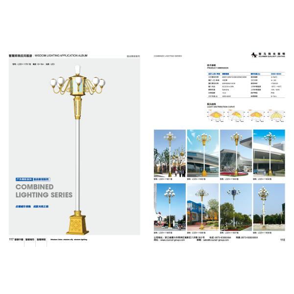 Roadway LED Pole Street Lights 90w 100w 6m 8m 10m 12m height