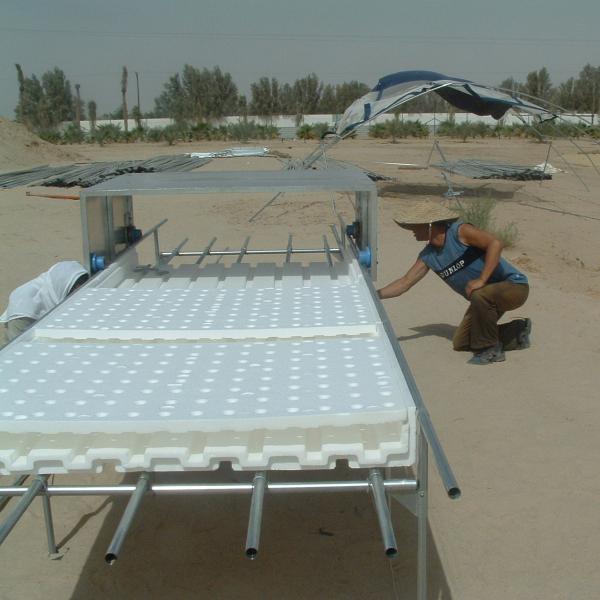 Efficiently Deep Water Culture Dwc With Planting Bench Commercial Dwc System Anti Algae