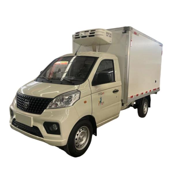 1-10T Load Capacity ≤5T Gross Vehicle Weight Mini Car-Style Refrigerated Truck Gasoline Version Small Portable Refrigerator Vehicle