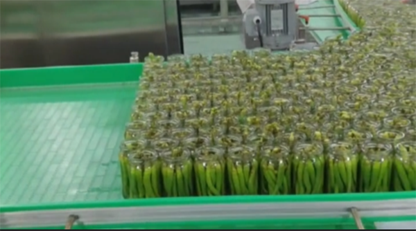 Линия по производству перцовых консервов Оборудование для консервирования овощей