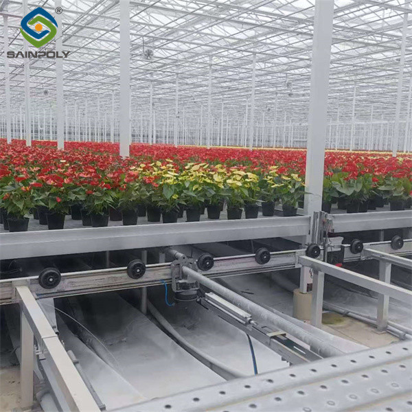 Structural Frame Polycarbonate Glass Greenhouse For Flower Growth