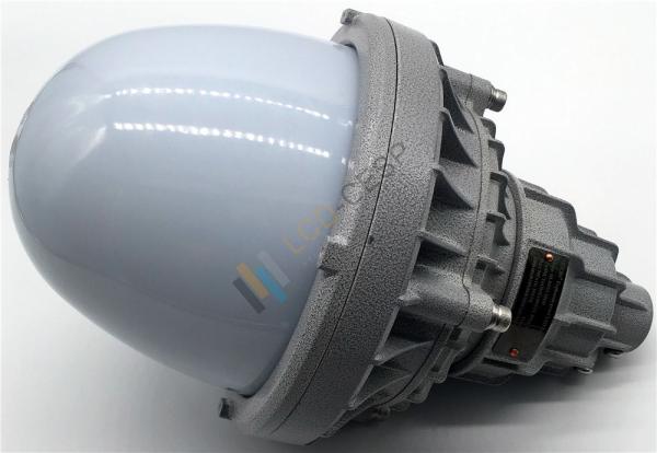CREE Chip 220V 60Hz 30W Explosion Proof Led Flood Light