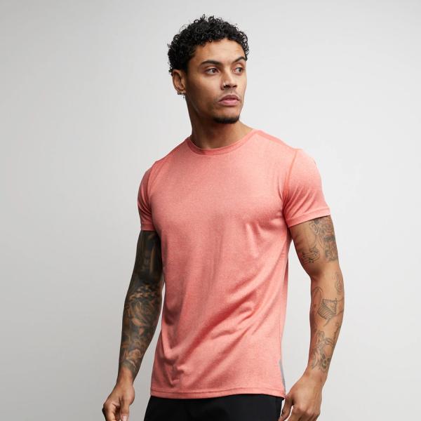 Summer Men Set Fitness Suit Short Sleeve T Shirt knitted Weaving