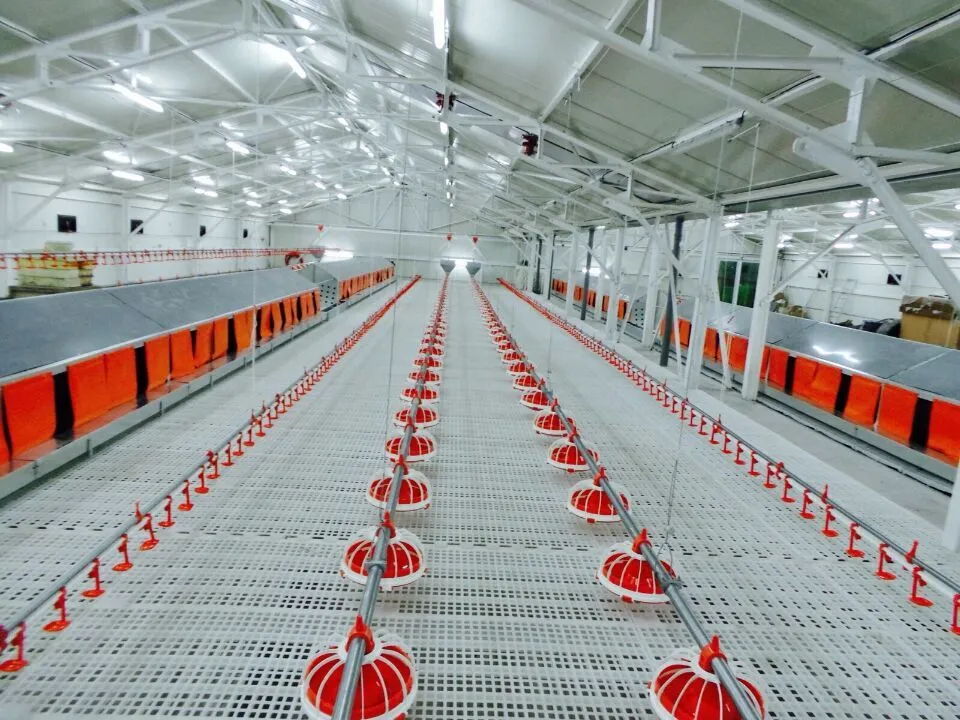 Hygienic Design Automatic Chicken Feeder System Anti Waste For Broiler Farms